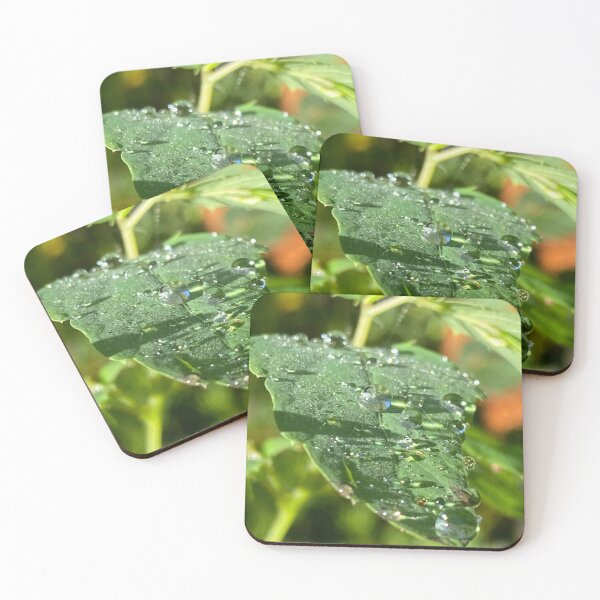Item preview, Leaf Dew designed and sold by R-Rayton.
