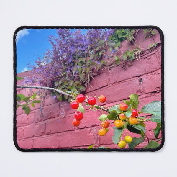 Item preview, Ripening Cherries and Self Seeded Bellflowers designed and sold by Violaman.