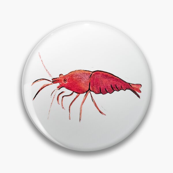 Item preview, SHRIMP NEOCARIDINA - Watercolour design designed and sold by MBlank-Art.
