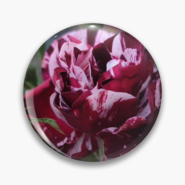 Item preview, Vivid Red Pink Rose Rosa Bloom Decorating Your Summer Garden designed and sold by vtspatial.