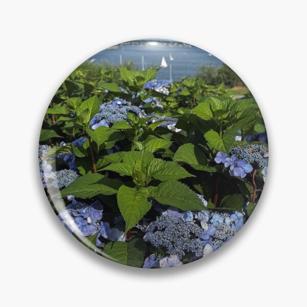Item preview, Hydrangea Flowers at the Shore designed and sold by Photography by Annette Matrow.