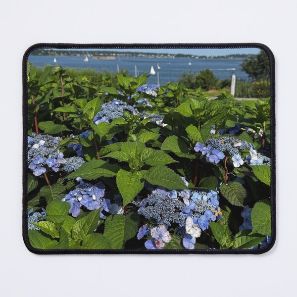 Item preview, Hydrangea Flowers at the Shore designed and sold by Photography by Annette Matrow.