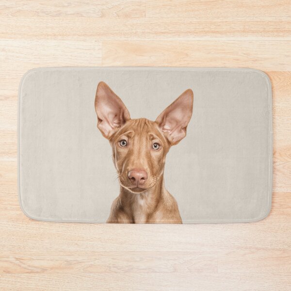 Item preview, Adorable Pharaoh Hound puppy for Cute Pharaoh Hound puppy lovers designed and sold by LazyOwlStore.