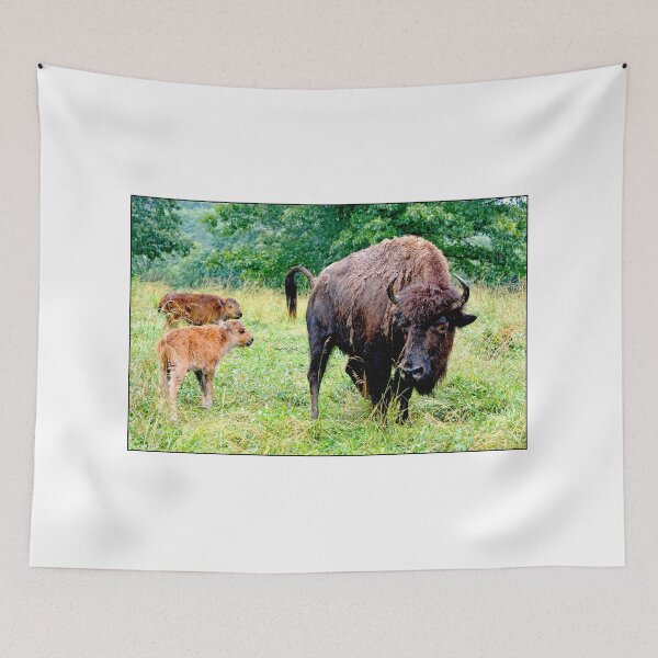 Item preview, Female American Bison with Two Calves designed and sold by AMacGPhilly.