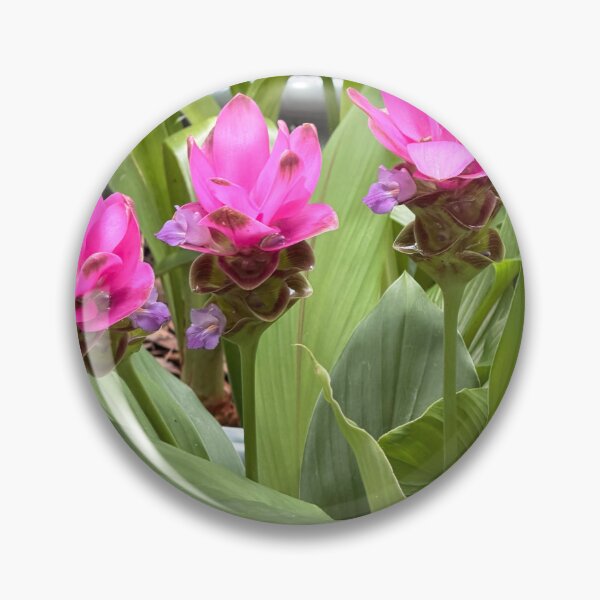 Item preview, Siam Tulip in Full Bloom. designed and sold by Pearls1.