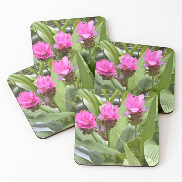 Item preview, Siam Tulip in Full Bloom. designed and sold by Pearls1.
