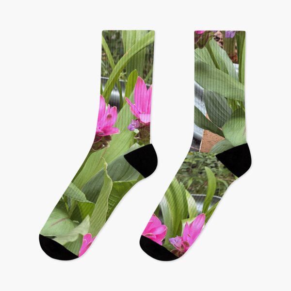Artikelvorschau, Siam-Tulpe in voller Blüte. entworfen und verkauft von Pearls1.