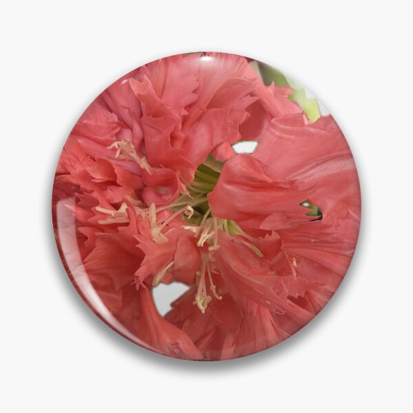 Item preview, Vivid Coral Pink Fringed Carnation Blossom Cutout designed and sold by BalkanBloom.