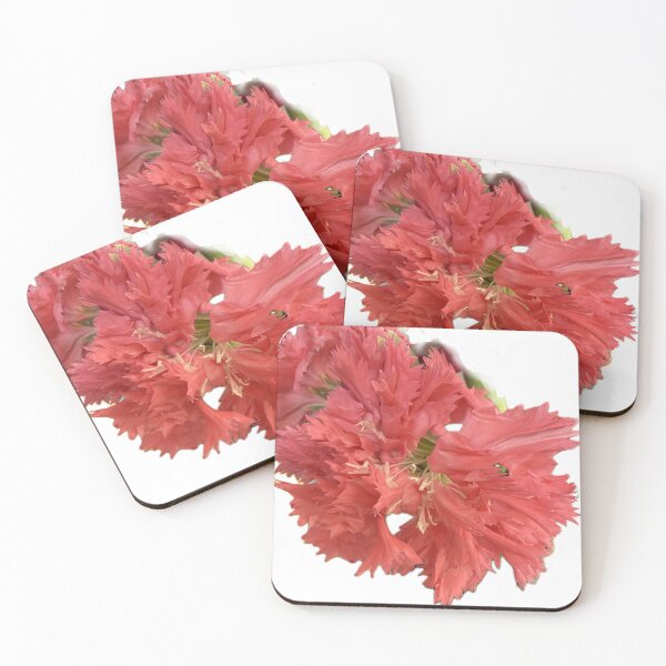 Item preview, Vivid Coral Pink Fringed Carnation Blossom Cutout designed and sold by BalkanBloom.