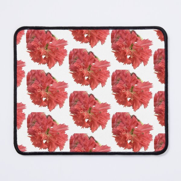 Item preview, Vivid Coral Pink Fringed Carnation Blossom Cutout designed and sold by BalkanBloom.