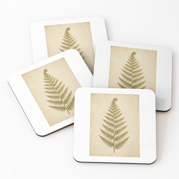 Item preview, Glowing Bracken Fern Herbarium Specimen Print — Luminous Vintage Botanical Art for a Botanist designed and sold by Brackenlume Studio.