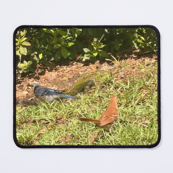 Item preview, Gathering of Wild Birds. designed and sold by Pearls1.