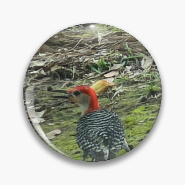 Item preview, Red-Bellied Woodpecker Foraging on the Ground. designed and sold by Pearls1.