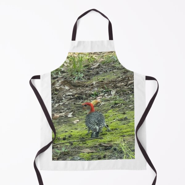 Item preview, Red-Bellied Woodpecker Foraging on the Ground. designed and sold by Pearls1.
