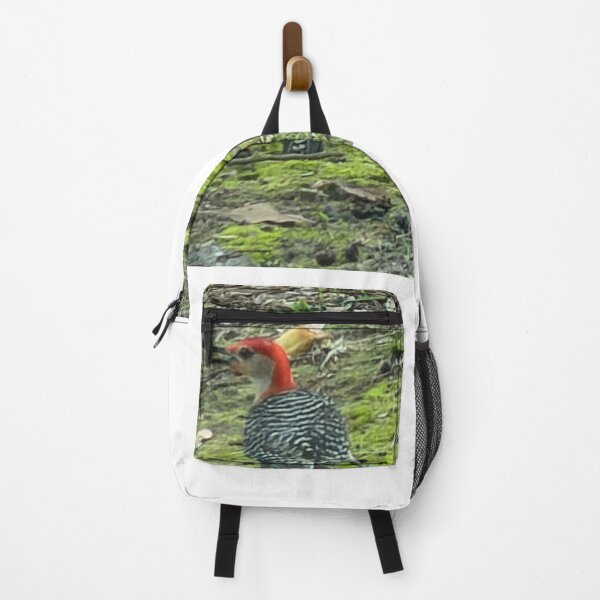 Item preview, Red-Bellied Woodpecker Foraging on the Ground. designed and sold by Pearls1.