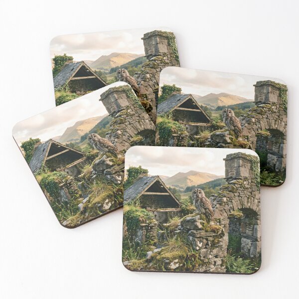 Item preview, Owl Perched on Abandoned Stone Cottage Ruins in Nature designed and sold by hakikatm.
