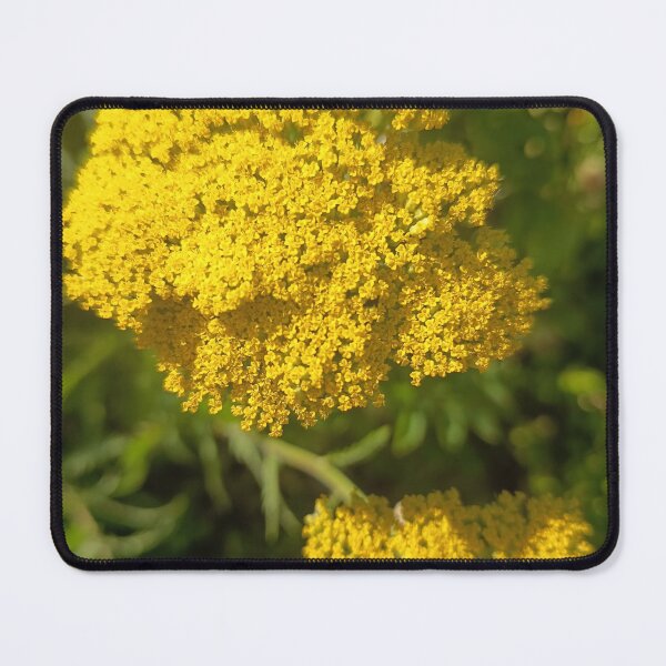 Item preview, Yellow Wildflower Bloom in Summer designed and sold by PhuongVoArt.