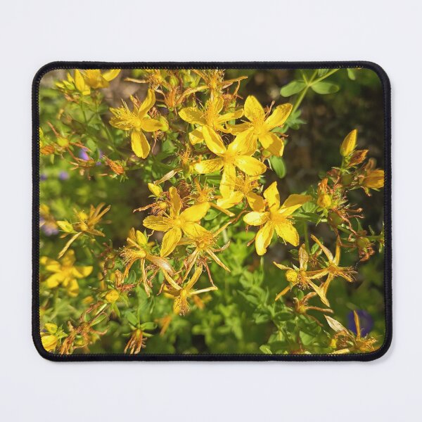 Item preview, Yellow Wildflowers in Summer Garden designed and sold by PhuongVoArt.