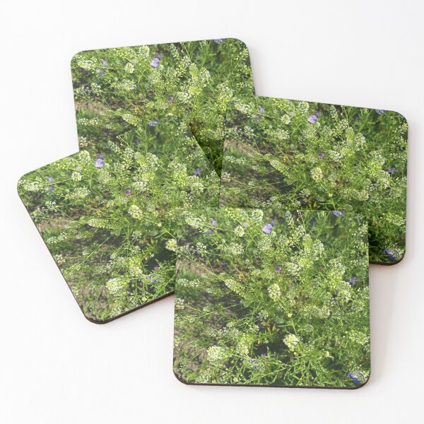 Item preview, Tiny White Wildflowers in Nature designed and sold by PhuongVoArt.
