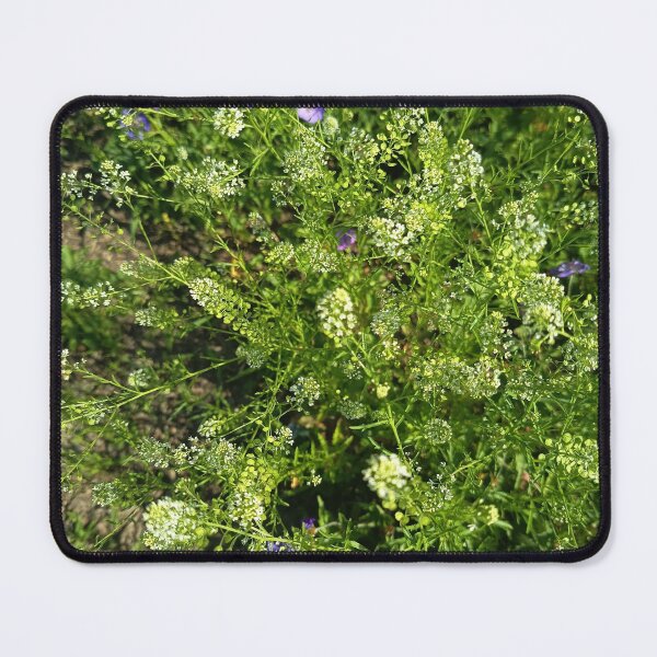 Item preview, Tiny White Wildflowers in Nature designed and sold by PhuongVoArt.