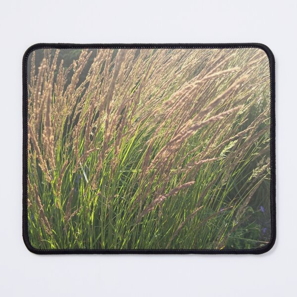 Item preview, Golden Meadow Grass in Sunlight designed and sold by PhuongVoArt.