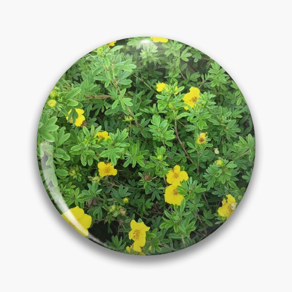 Artikelvorschau, Yellow Blossoms in Green Foliage entworfen und verkauft von PhuongVoArt.