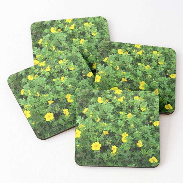 Item preview, Yellow Blossoms in Green Foliage designed and sold by PhuongVoArt.