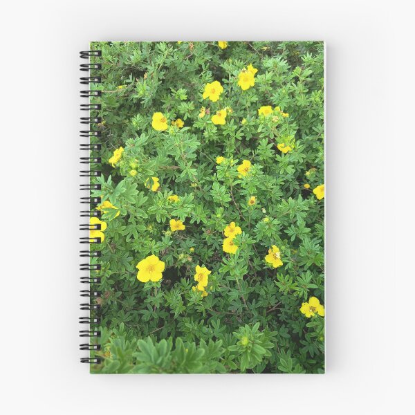 Artikelvorschau, Yellow Blossoms in Green Foliage entworfen und verkauft von PhuongVoArt.