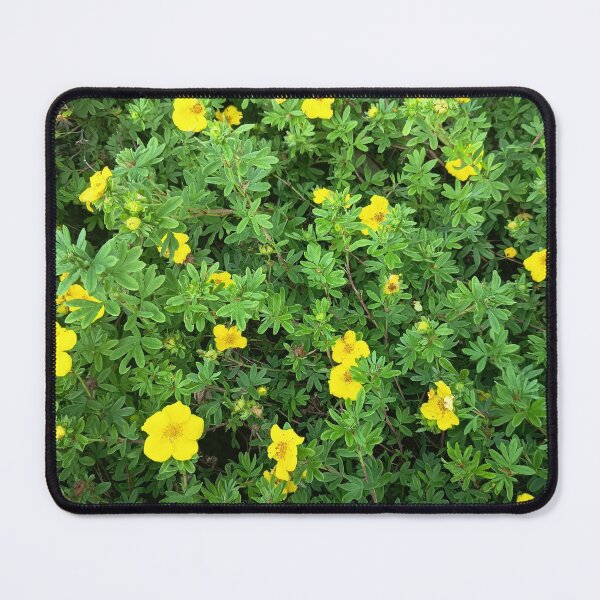 Item preview, Yellow Blossoms in Green Foliage designed and sold by PhuongVoArt.
