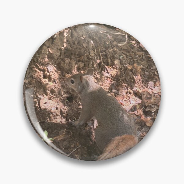 Item preview, Curious Gray Squirrel in Nature. designed and sold by Pearls1.