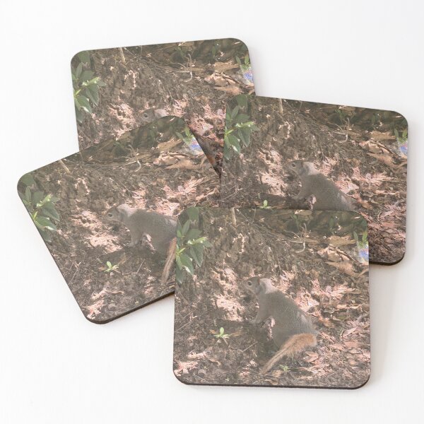 Item preview, Curious Gray Squirrel in Nature. designed and sold by Pearls1.