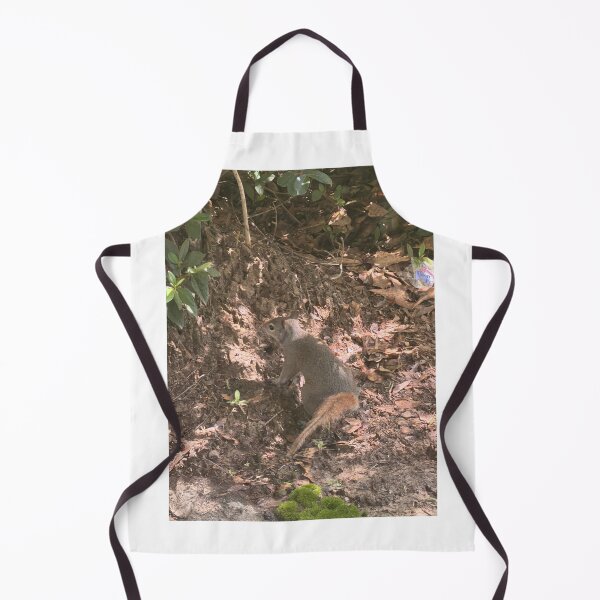 Item preview, Curious Gray Squirrel in Nature. designed and sold by Pearls1.