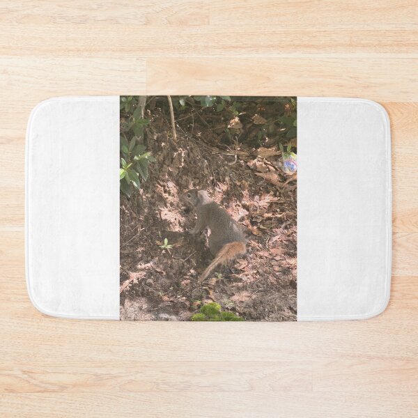 Item preview, Curious Gray Squirrel in Nature. designed and sold by Pearls1.