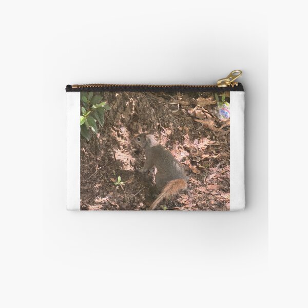 Item preview, Curious Gray Squirrel in Nature. designed and sold by Pearls1.