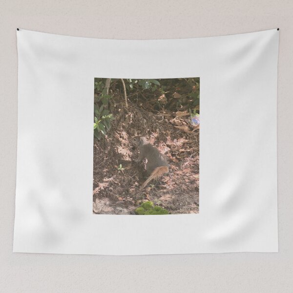Item preview, Curious Gray Squirrel in Nature. designed and sold by Pearls1.