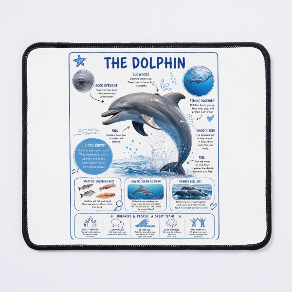 Item preview, Educational Dolphin Anatomy Poster designed and sold by AzalaiBubbles.