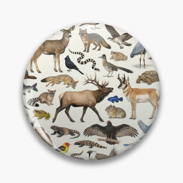 Item preview, Animals of Nevada Retro Style Identification Chart designed and sold by kakarikihill.