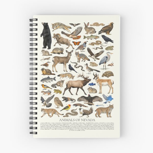 Item preview, Animals of Nevada Retro Style Identification Chart designed and sold by kakarikihill.