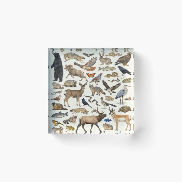 Item preview, Animals of Nevada Retro Style Identification Chart designed and sold by kakarikihill.