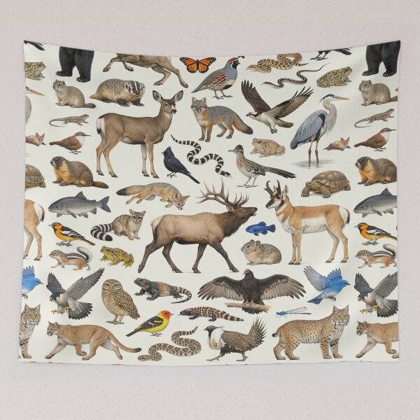 Item preview, Animals of Nevada Retro Style Identification Chart designed and sold by kakarikihill.