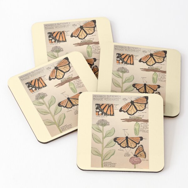 Item preview, Stages of a Monarch designed and sold by EdyJ.