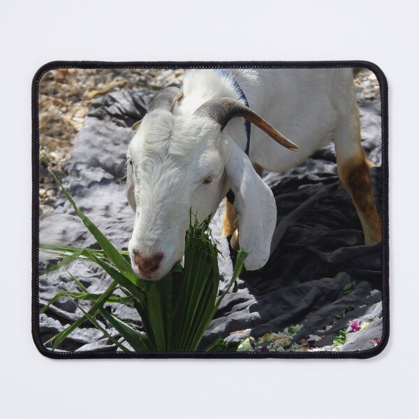 Item preview, Happy Goat! designed and sold by heatherfriedman.