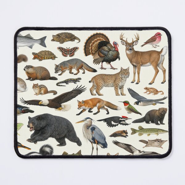Item preview, Animals of New Hampshire Retro Style Identification Chart designed and sold by kakarikihill.