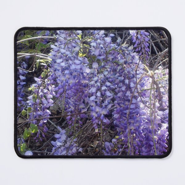 Item preview, Wisteria Blooms in Springtime designed and sold by CreationLens.