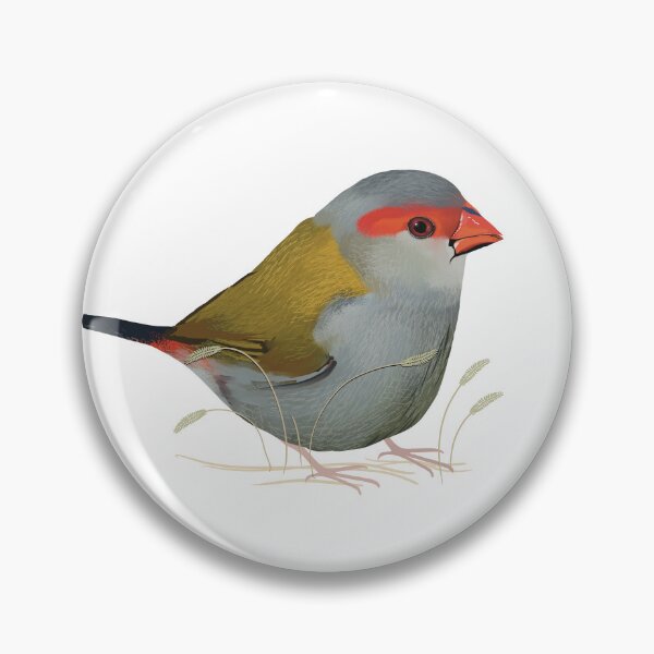Item preview, Red browed Finch Australian Native Bird designed and sold by Karin Taylor.