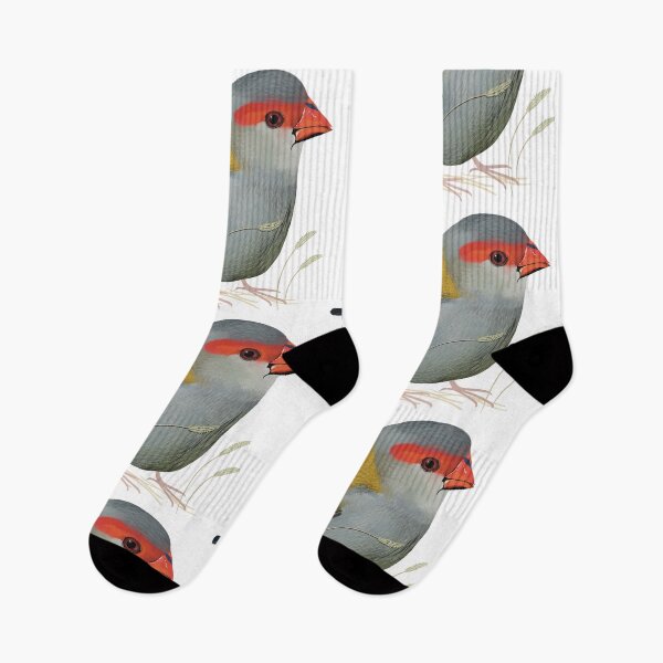 Item preview, Red browed Finch Australian Native Bird designed and sold by Karin Taylor.