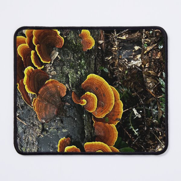 Item preview, Vibrant Mushrooms designed and sold by Little Things by Brooke.