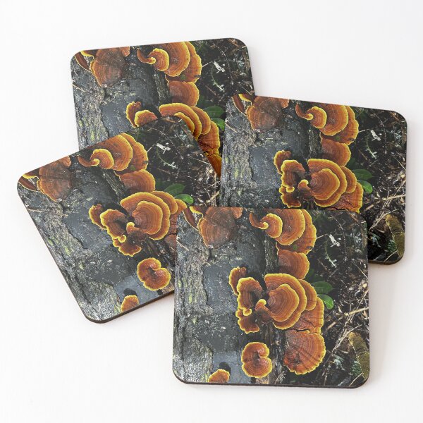 Item preview, Vibrant Mushrooms designed and sold by Little Things by Brooke.