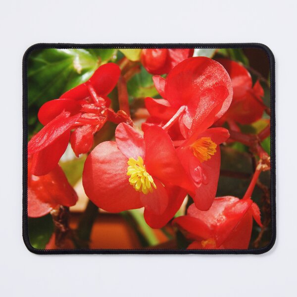 Item preview, Red Begonia designed and sold by gistinker.