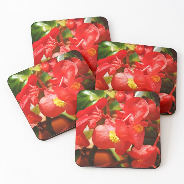 Item preview, Red Begonia designed and sold by gistinker.